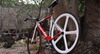 Velle (Cervelo) photo