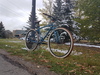 Velo Orange Piolet All-rounder photo