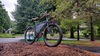 VeloOrange Piolet photo