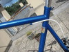 vianelli road bike photo