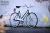 Viceroy "Miss Anne" · Vintage fixed gear photo