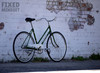 Viceroy "Miss Anne" · Vintage fixed gear photo