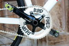 Cinelli Vigorelli x Bird Fixed Gear photo