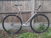 Viner FCI photo
