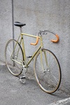Viner Special Course Pista photo