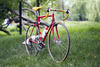 Viner Special Professional Strada RIP photo