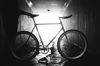 vintage peugeot fixie photo