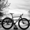 VISP - MATTE Black Shreddin' Machine photo