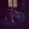 Visp photo