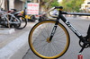 VISP 790 Gold - Black photo