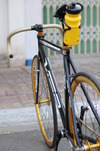 VISP 790 Gold - Black photo