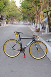 VISP 790 Gold - Black photo