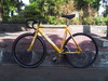 Visp Gold photo