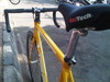 Visp Gold photo