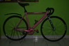 VISP NXL Pink photo