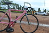 VISP NXL Pink photo