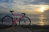 VISP NXL Pink photo