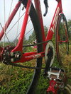 Visp Red photo