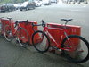 Visp Red photo