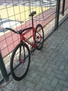 VISP Red 50" photo