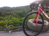 VISP Red Trx 790 Samarinda photo