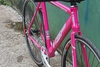 VISP TRX 790 pink photo