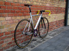 Visp Trx999 "Silver surfer" photo