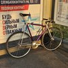 Vitus 979 photo