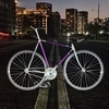 Vitus 979 photo