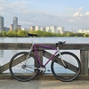 Vitus 979 photo