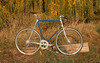 benus´s Vitus 979 photo