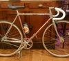 Vitus 979 Rose photo