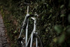 vivalo photo