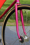 Vivalo Special NJS photo