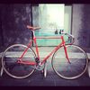 Vivalo Pro Special NJS 54 photo