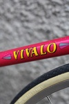 Vivalo Pink Sparkle photo