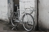 Vivalo Pro Special NJS photo