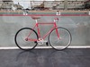 Vivalo Pro Special NJS 54cm Red-Orange photo