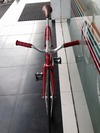 Vivalo Pro Special NJS 54cm Red-Orange photo