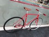 Vivalo Pro Special NJS 54cm Red-Orange photo