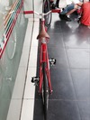 Vivalo Pro Special NJS 54cm Red-Orange photo