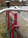 Vivalo Special NJS photo