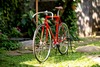 Vivalo Pro Special NJS 54 photo