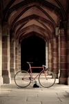 Vivalo Pro Special NJS 54 photo