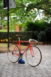 Vivalo Pro Special NJS 54 photo