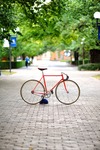 Vivalo Pro Special NJS 54 photo