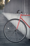 Vivalo special NJS photo