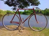 Vivalo Special NJS photo