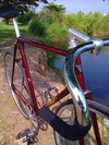 Vivalo Special NJS photo