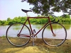 Vivalo Special NJS photo